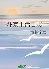 汴京生活日志(沈丽姝)