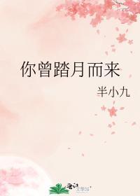 我曾踏月而来 只因你在山中表达的意思