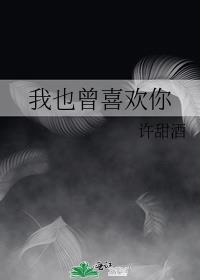 我也曾喜欢你英文