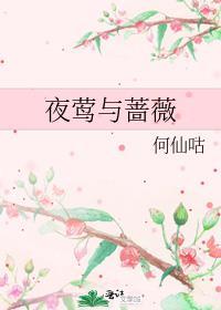 夜莺与蔷薇的故事