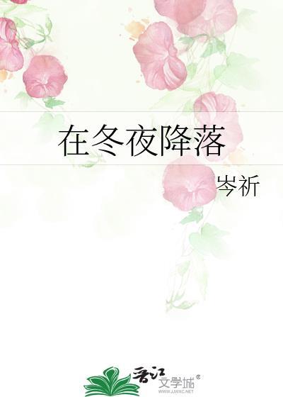 在冬夜降落免费阅读晋江