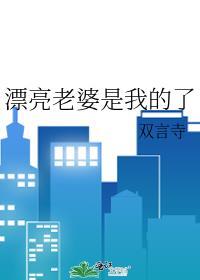漂亮老婆是我的了作者双言寺