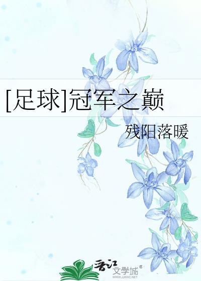 足球冠军之巅书包网
