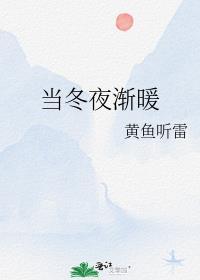 当冬夜渐暖歌词歌词是什么意思