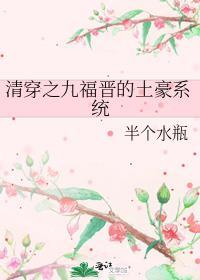 清穿之九福晋日常生活