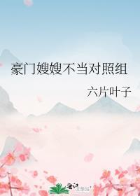 豪门嫂嫂不当对照组晋江