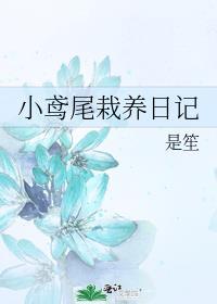 小鸢尾栽养日记番外最新