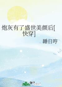 炮灰她有盛世美颜怎么办