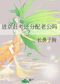 进京赶考还分配老公吗by
