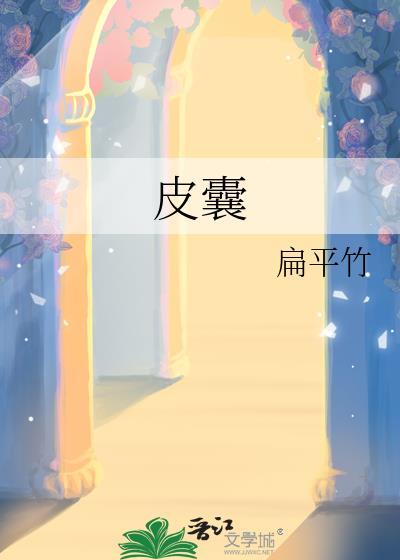 皮囊在线阅读