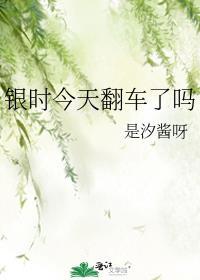 银时 cp