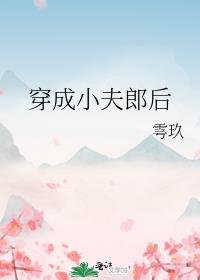 穿成小夫郎后txt