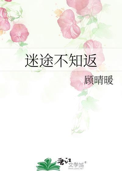 形容迷途不知返的句子