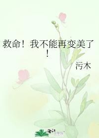 下红楼人物与外号