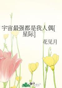 小寡妇与铁匠好看吗