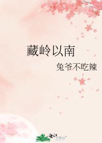 藏岭以南免费阅读