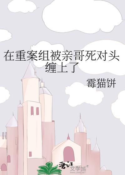 我在重案组的那些年