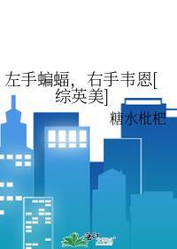 左手韦恩右手蝙蝠TXT