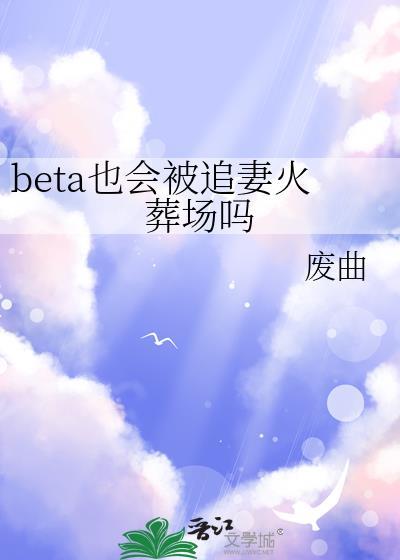 beta也会被追妻火葬场吗免费阅读
