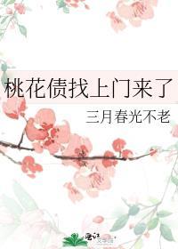 桃花债找上门来了双女主