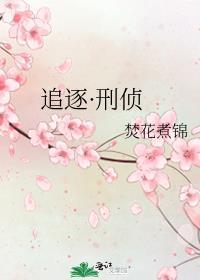 28集刑侦剧追捕2014年
