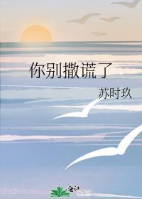 别撒谎了英文