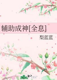 辅助器