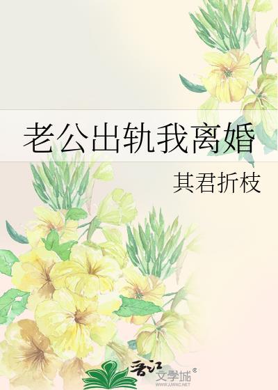 老公出轨我离婚免费阅读其君折枝