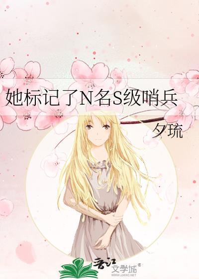 她标记了n名s级哨兵笔