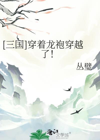 穿越三国之龙图天下