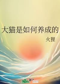 大猫怎么养家