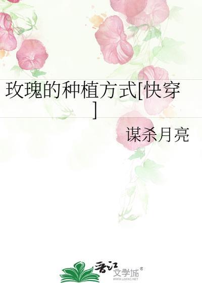 玫瑰的种植与养护