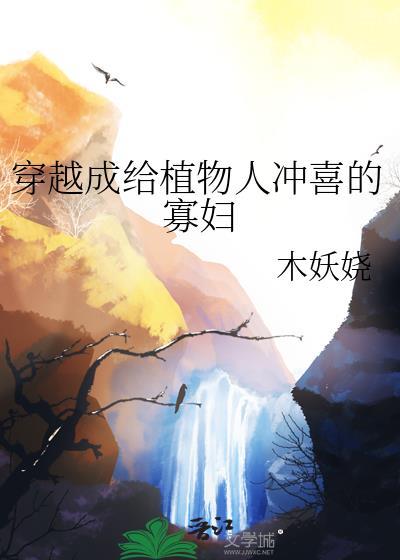 穿越成给植物人冲喜的寡妇   木妖娆