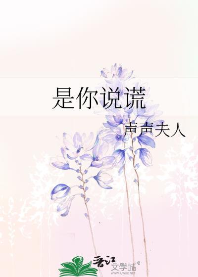 是你说谎by声声夫