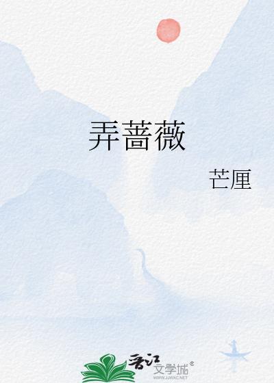 弄蔷薇芒厘笔趣阁免费