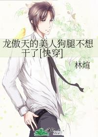 龙傲天龙傲娇是哪本主角