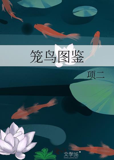 笼鸟图鉴TXT百度