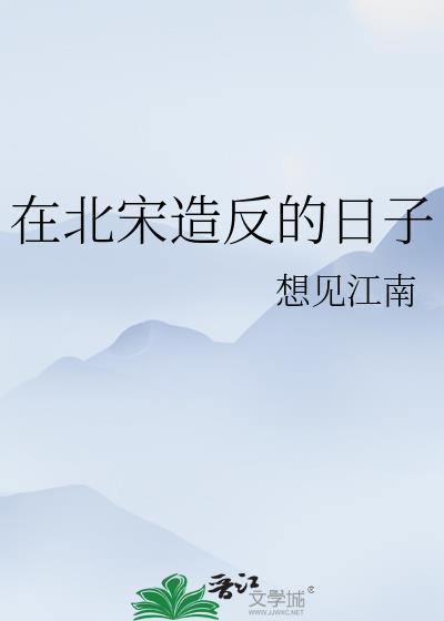 在北宋造反的日子txt