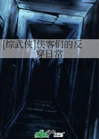 侠客穿着