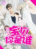 宝贝你是谁番外篇