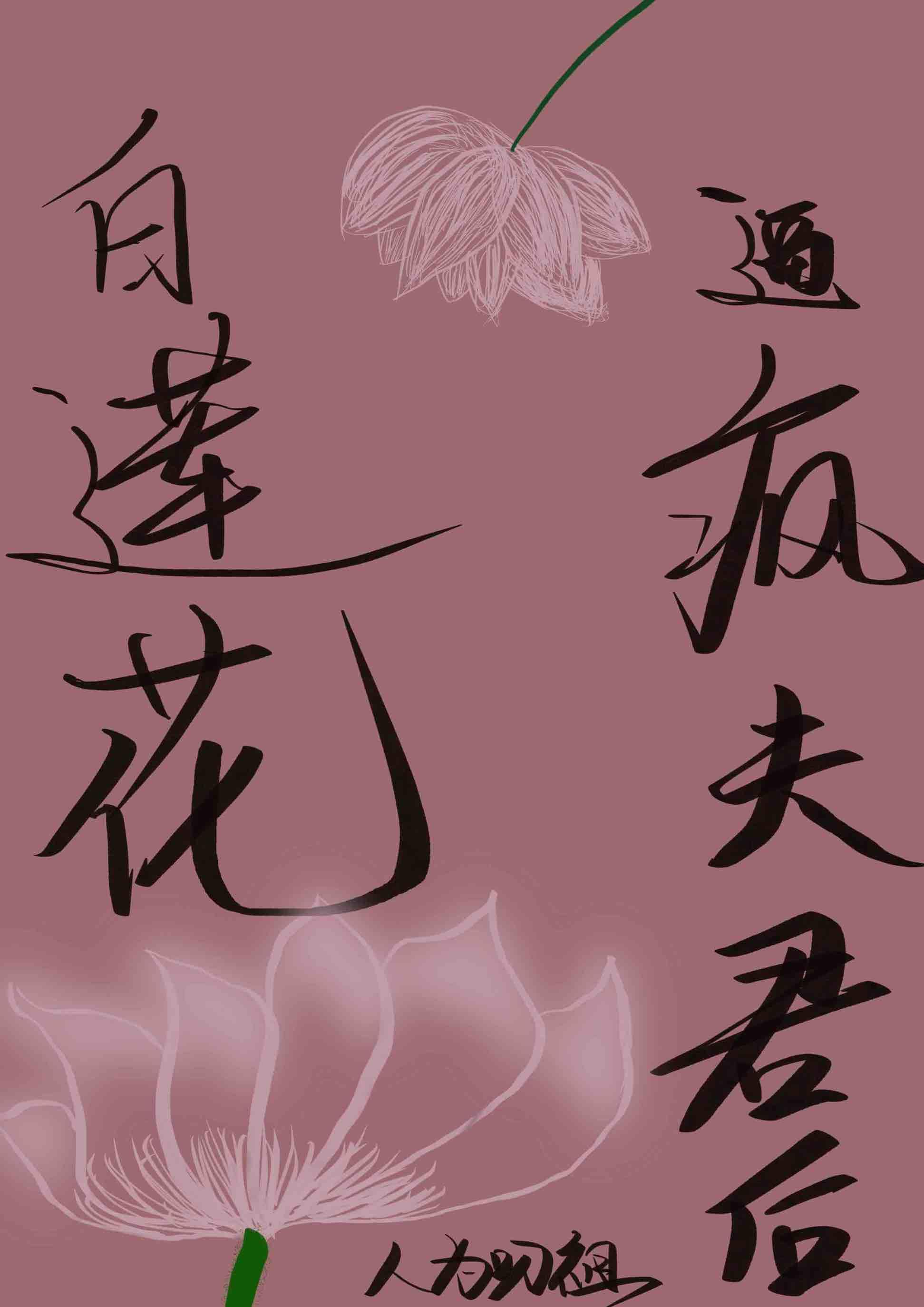 白莲花宠