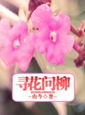 男主叫何寻的