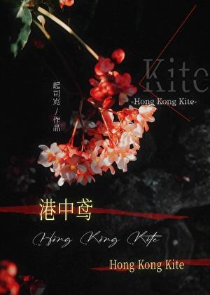 港中鸢19章笔趣阁最新章节列表