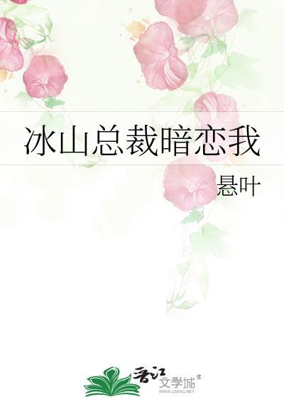 冰山总裁系列