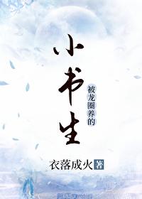 小书生的清冷壮夫郎