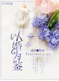 以婚为鉴by湜沚