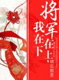 将军在上我在下女强男弱类似
