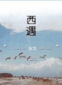 西遇全国门店地址