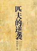 匹夫的逆袭各角色结局