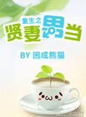 重生之贤妻难为全文免费阅读
